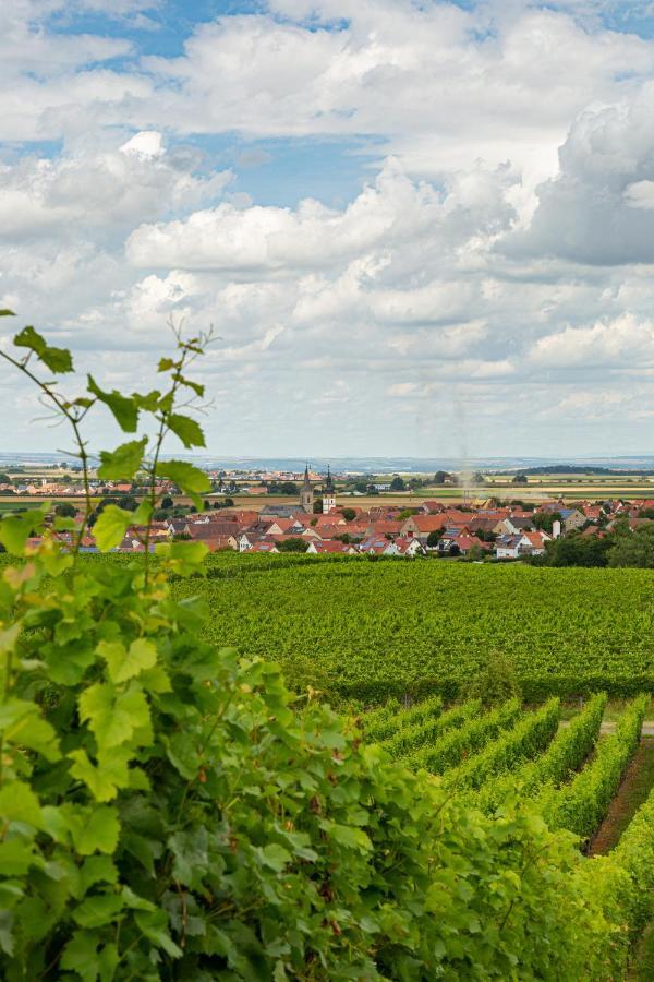Landgasthof May Willanzheim ภายนอก รูปภาพ
